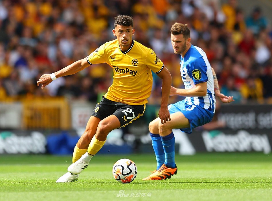 也能在单箭 也能在单箭